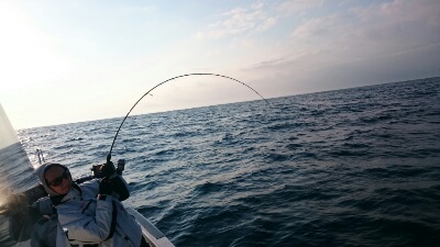 IDATEN（イダテン） 釣果