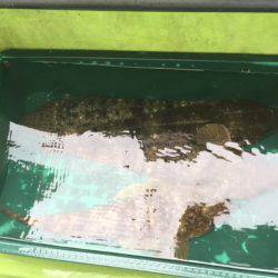 深川 吉野屋 釣果