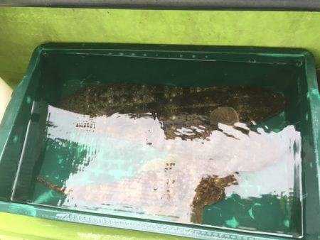 深川 吉野屋 釣果