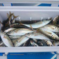 深川 吉野屋 釣果