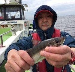 深川 吉野屋 釣果