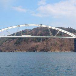 気仙沼 つり丸 釣果