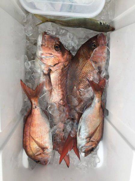 龍宮丸 釣果