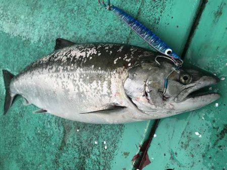 広進丸 釣果