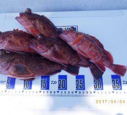 石川丸 釣果