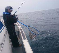 IDATEN（イダテン） 釣果