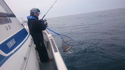 IDATEN（イダテン） 釣果