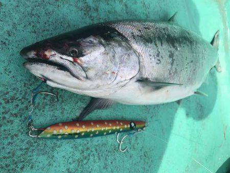 広進丸 釣果