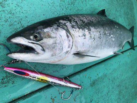 広進丸 釣果