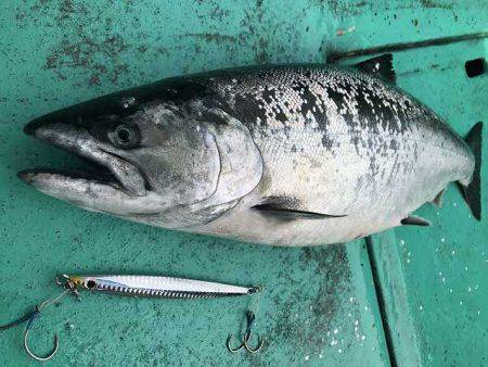 広進丸 釣果