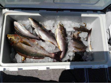 第二大福丸 釣果