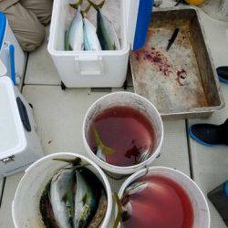 遊漁船 ニライカナイ 釣果