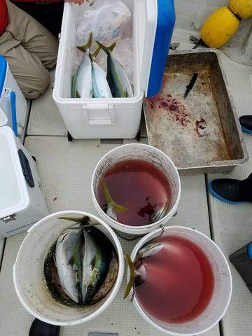 遊漁船 ニライカナイ 釣果