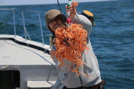 へいみつ丸 釣果