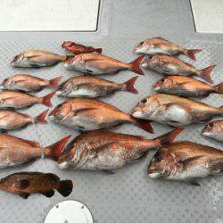 ミタチ丸 釣果