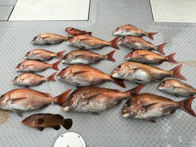 ミタチ丸 釣果