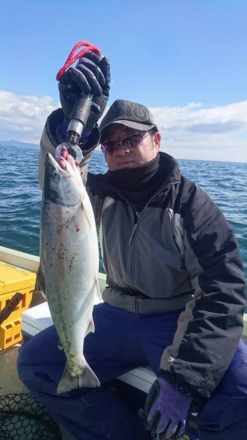 気仙沼　つり丸 釣果