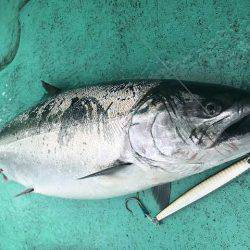 広進丸 釣果