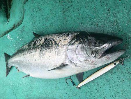 広進丸 釣果