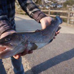 フィッシングレイクたかみや 釣果