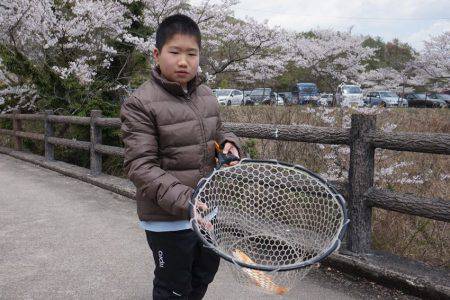 フィッシングレイクたかみや 釣果