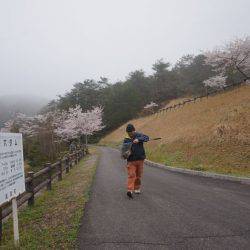フィッシングレイクたかみや 釣果