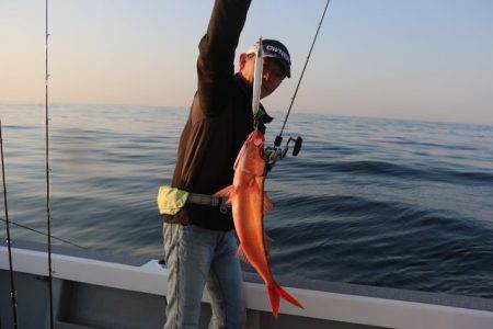 へいみつ丸 釣果