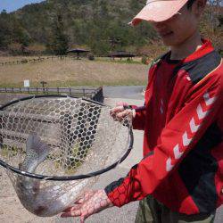 フィッシングレイクたかみや 釣果