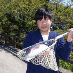 フィッシングレイクたかみや 釣果