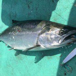 広進丸 釣果