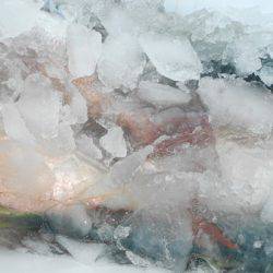 こうゆう丸 釣果