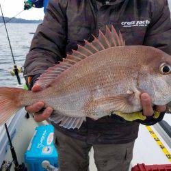 遊漁船 ニライカナイ 釣果