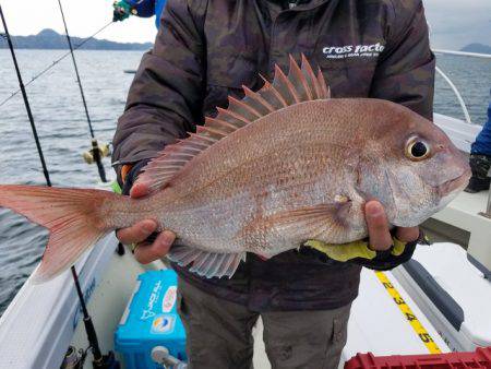 遊漁船 ニライカナイ 釣果