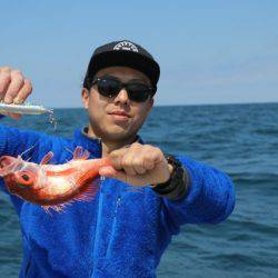 へいみつ丸 釣果