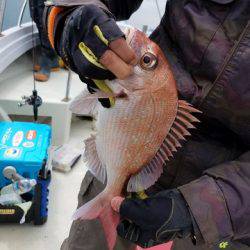 遊漁船 ニライカナイ 釣果