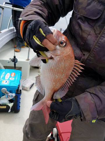 遊漁船 ニライカナイ 釣果
