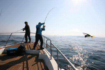 オーシャンズ　京都 釣果