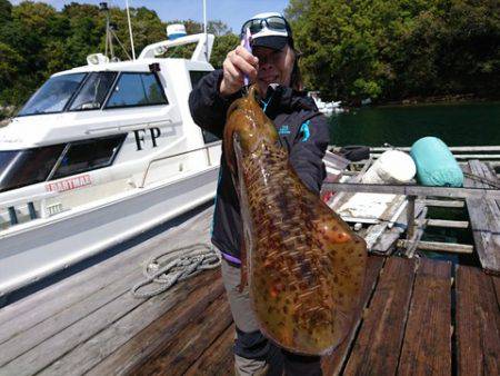 ＦＰ志摩 釣果