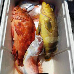 第二大福丸 釣果