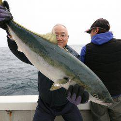 オーシャンズ　京都 釣果