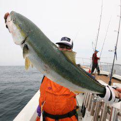 オーシャンズ　京都 釣果