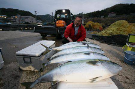 オーシャンズ　京都 釣果