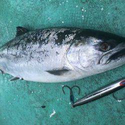 広進丸 釣果