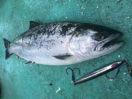 広進丸 釣果