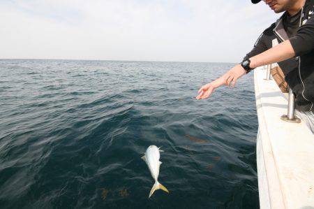 オーシャンズ　京都 釣果