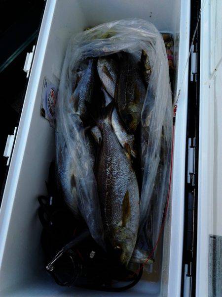 第二大福丸 釣果