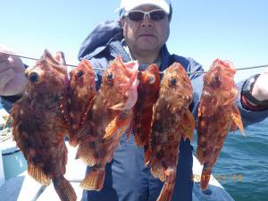 石川丸 釣果