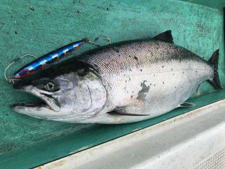 広進丸 釣果