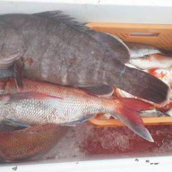 武勝丸（ぶしょうまる） 釣果