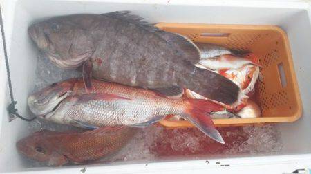 武勝丸（ぶしょうまる） 釣果